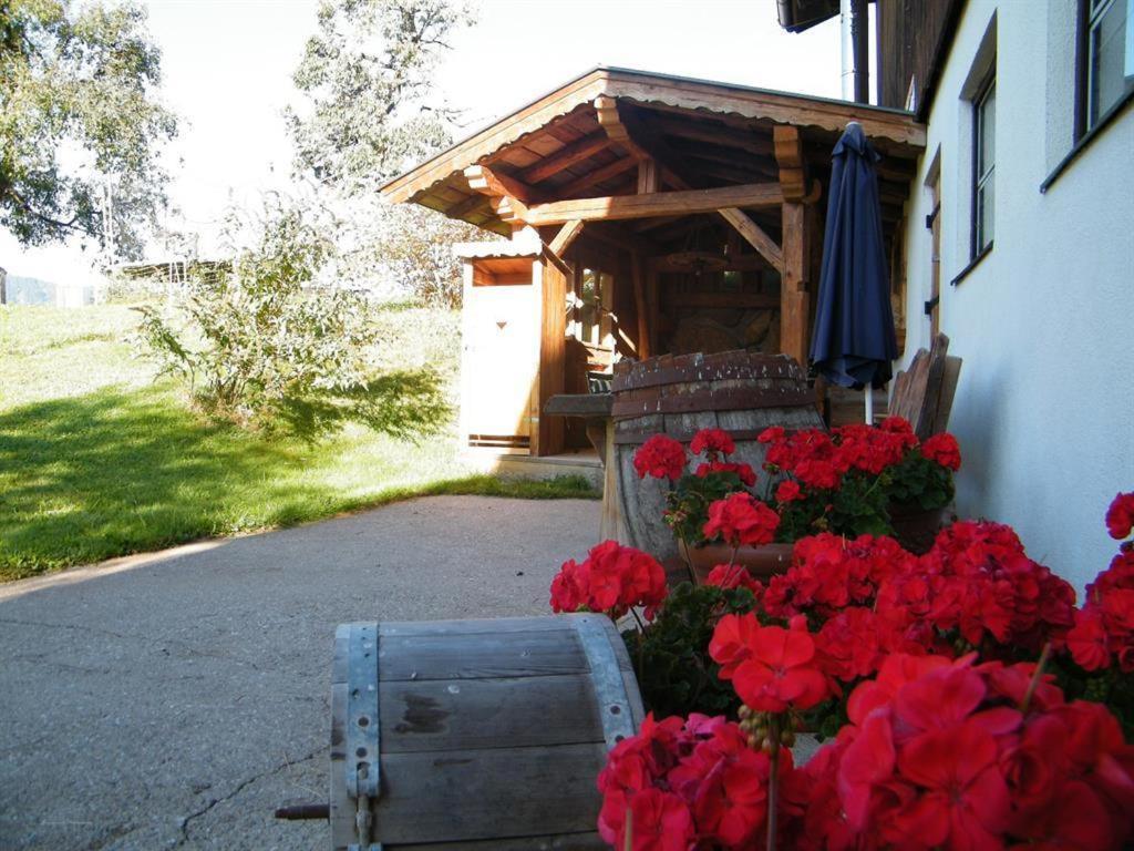 Ferienwohnung Biobauernhof Schuster Hopfgarten im Brixental Exterior foto