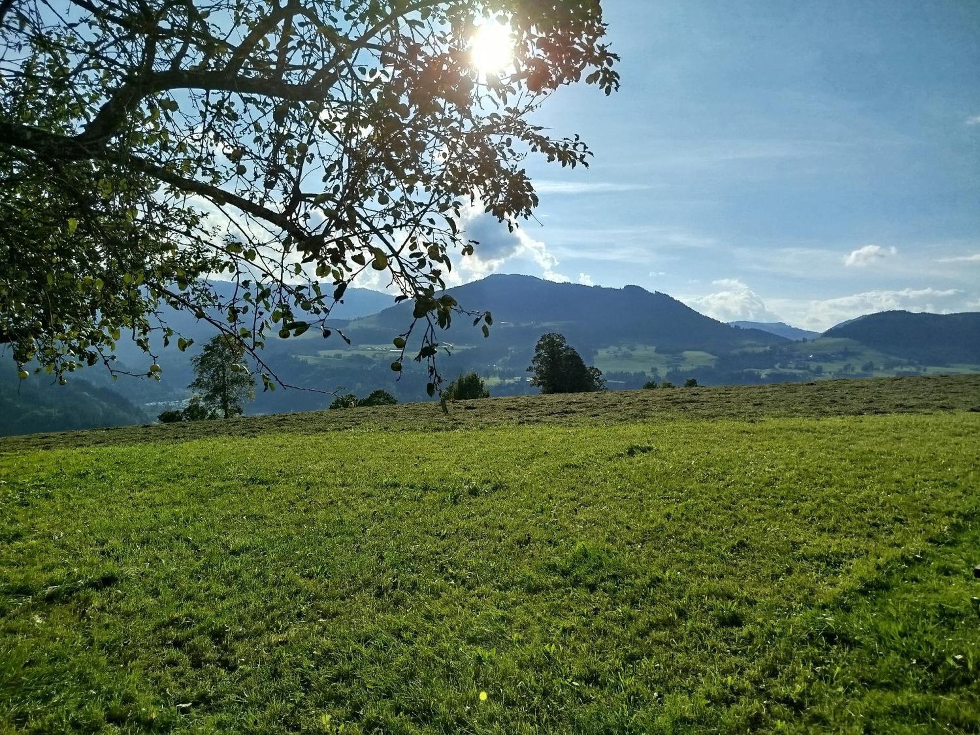 Ferienwohnung Biobauernhof Schuster Hopfgarten im Brixental Exterior foto