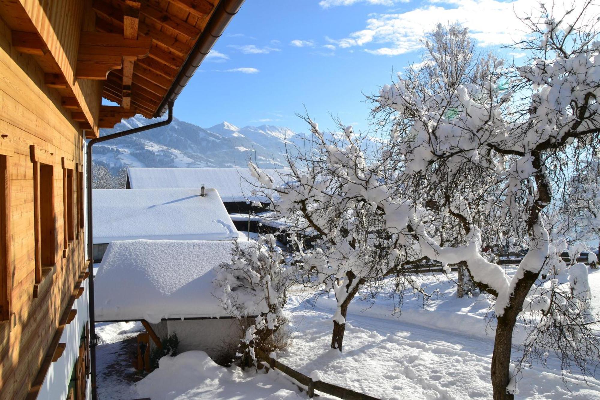 Ferienwohnung Biobauernhof Schuster Hopfgarten im Brixental Exterior foto